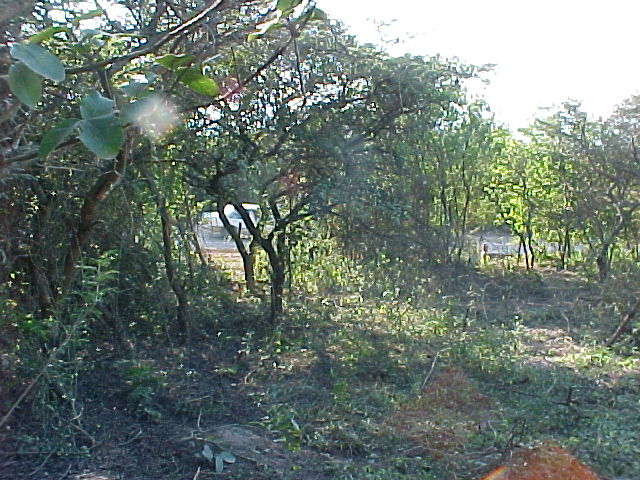 0 Bedroom Property for Sale in Cintsa East Eastern Cape